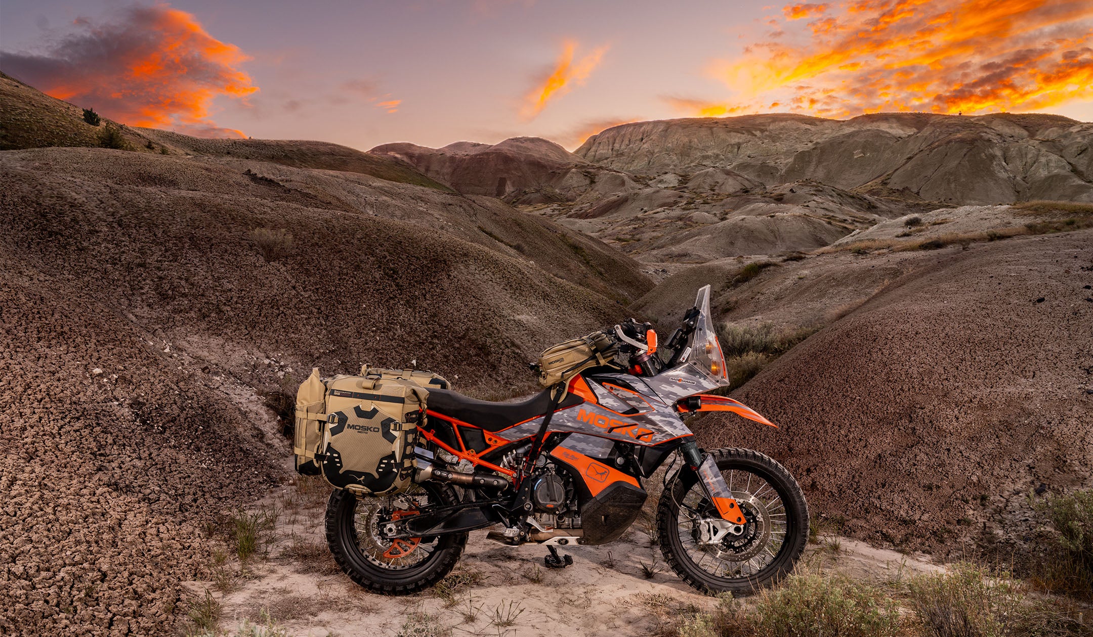 Built for the Wildest Rides